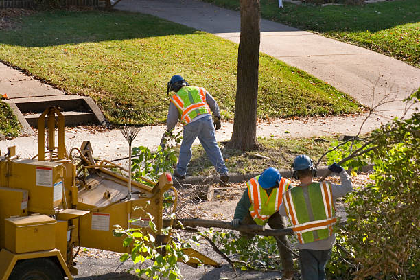 Best Tree Mulching Services  in Marlin, TX