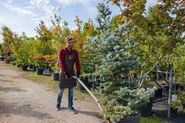 Best Commercial Tree Services  in Marlin, TX